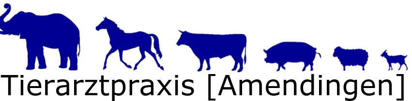 Tierarztpraxis Amendingen